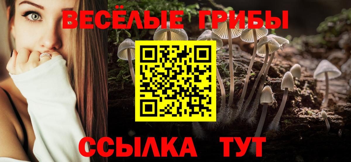 Галлюциногенные грибы Psilocybe  наркошоп  Зеленодольск  Вход с VPN 